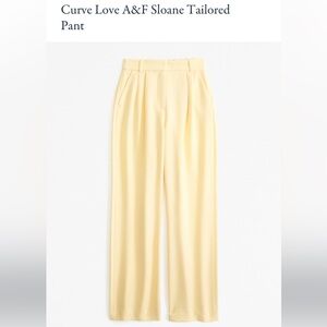BRAND NEW NEVER WORN Abercrombie Curve Love Sloan Trouser Pants